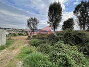 Terreno R�stico - Vila de Cucuj�es, Oliveira de Azem�is, Aveiro - Miniatura: 2/8