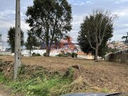 Terreno R�stico - Vila de Cucuj�es, Oliveira de Azem�is, Aveiro - Miniatura: 3/8