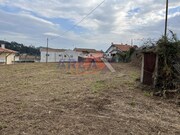 Terreno R�stico - Vila de Cucuj�es, Oliveira de Azem�is, Aveiro - Miniatura: 4/8