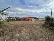 Terreno R�stico - Vila de Cucuj�es, Oliveira de Azem�is, Aveiro - Miniatura: 6/8