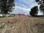 Terreno R�stico - Vila de Cucuj�es, Oliveira de Azem�is, Aveiro - Miniatura: 7/8