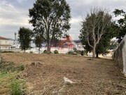 Terreno R�stico - Vila de Cucuj�es, Oliveira de Azem�is, Aveiro - Miniatura: 8/8
