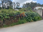 Terreno Rústico Não Definido - Pinheiro da Bemposta, Oliveira de Azeméis, Aveiro - Miniatura: 7/8