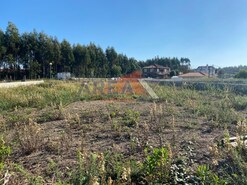 Terreno R�stico - Oliveira de Azemeis, Oliveira de Azem�is, Aveiro