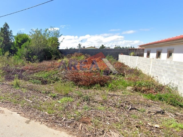 Terreno Urbano - Pinheiro da Bemposta, Oliveira de Azeméis, Aveiro - Imagem grande