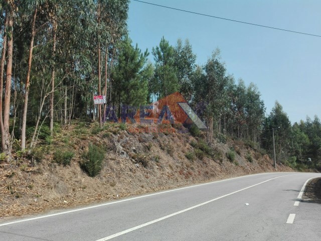 Terreno Urbano - Pinheiro da Bemposta, Oliveira de Azeméis, Aveiro - Imagem grande