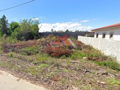 Terreno Urbano - Pinheiro da Bemposta, Oliveira de Azem�is, Aveiro