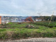 Terreno Rstico - So Roque, Oliveira de Azemis, Aveiro - Miniatura: 1/1