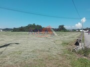 Terreno Urbano - Loureiro, Oliveira de Azem�is, Aveiro - Miniatura: 3/5