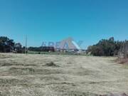 Terreno Urbano - Loureiro, Oliveira de Azem�is, Aveiro - Miniatura: 4/5