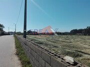 Terreno Urbano - Loureiro, Oliveira de Azem�is, Aveiro - Miniatura: 5/5