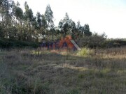 Terreno Rstico - Pinheiro da Bemposta, Oliveira de Azemis, Aveiro - Miniatura: 1/2