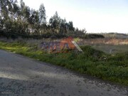 Terreno Rstico - Pinheiro da Bemposta, Oliveira de Azemis, Aveiro - Miniatura: 2/2