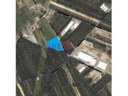 Terreno Industrial - Loureiro, Oliveira de Azemis, Aveiro - Miniatura: 1/8