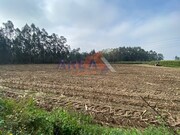 Terreno Industrial - Loureiro, Oliveira de Azemis, Aveiro - Miniatura: 5/8