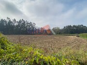 Terreno Industrial - Loureiro, Oliveira de Azemis, Aveiro - Miniatura: 7/8