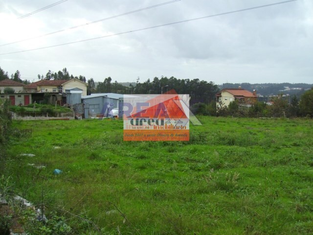 Terreno Rstico - Pinheiro da Bemposta, Oliveira de Azemis, Aveiro - Imagem grande