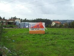 Terreno Rstico - Pinheiro da Bemposta, Oliveira de Azemis, Aveiro