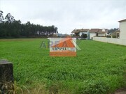 Terreno Rstico - Loureiro, Oliveira de Azemis, Aveiro - Miniatura: 1/3