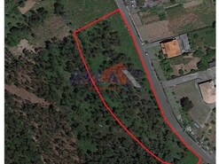 Terreno R�stico - Branca, Albergaria-a-Velha, Aveiro