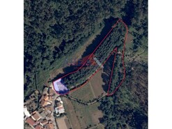 Terreno R�stico - Oliveira de Azemeis, Oliveira de Azem�is, Aveiro