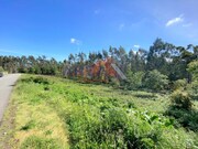 Terreno Rstico - Branca, Albergaria-a-Velha, Aveiro - Miniatura: 2/4