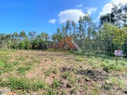 Terreno Rstico - Branca, Albergaria-a-Velha, Aveiro - Miniatura: 4/4