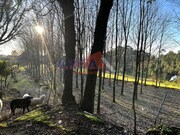 Terreno Rstico - Oliveira de Azemeis, Oliveira de Azemis, Aveiro - Miniatura: 4/9