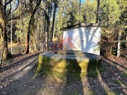 Terreno Rstico - Oliveira de Azemeis, Oliveira de Azemis, Aveiro - Miniatura: 6/9