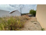 Terreno Rstico - Alcanhes, Santarm, Santarm - Miniatura: 1/4