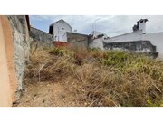 Terreno Rstico - Alcanhes, Santarm, Santarm - Miniatura: 2/4