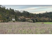 Armaz�m - Azoia de Cima, Santar�m, Santar�m - Miniatura: 2/9