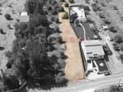 Terreno Rstico - Alcanhes, Santarm, Santarm - Miniatura: 1/5