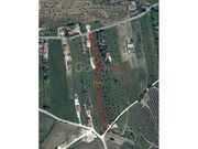 Terreno Rstico - Alcanhes, Santarm, Santarm - Miniatura: 4/5