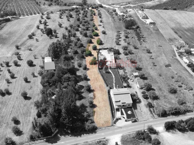 Terreno R�stico - Alcanh�es, Santar�m, Santar�m - Imagem grande