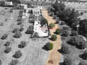 Terreno R�stico - Alcanh�es, Santar�m, Santar�m - Miniatura: 3/5
