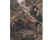 Terreno R�stico - Azoia de Cima, Santar�m, Santar�m - Miniatura: 1/1