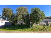Terreno R�stico - Almoster, Santar�m, Santar�m - Miniatura: 4/9