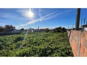 Terreno R�stico - Almoster, Santar�m, Santar�m - Miniatura: 5/9
