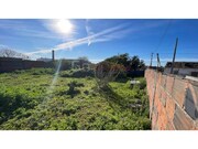 Terreno R�stico - Almoster, Santar�m, Santar�m - Miniatura: 6/9