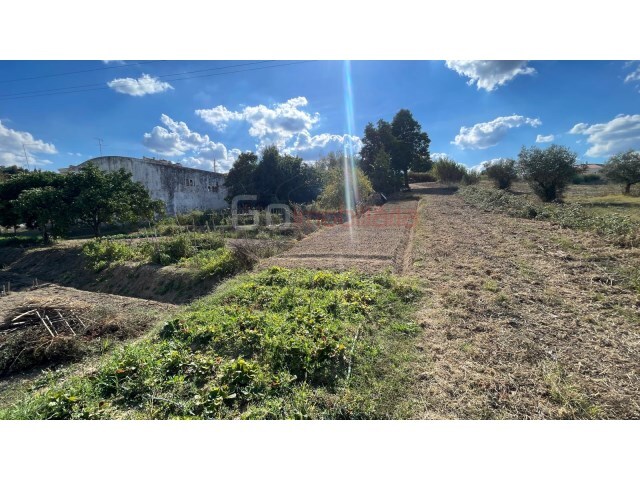 Terreno R�stico - Santarem, Santar�m, Santar�m - Imagem grande