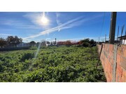 Terreno Rstico - Almoster, Santarm, Santarm - Miniatura: 5/9
