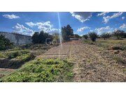 Terreno R�stico - Santarem, Santar�m, Santar�m - Miniatura: 1/9