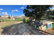 Terreno R�stico - Santarem, Santar�m, Santar�m - Miniatura: 5/9