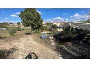 Terreno R�stico - Santarem, Santar�m, Santar�m - Miniatura: 6/9