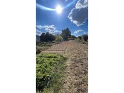 Terreno R�stico - Santarem, Santar�m, Santar�m - Miniatura: 7/9