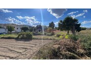 Terreno R�stico - Santarem, Santar�m, Santar�m - Miniatura: 8/9