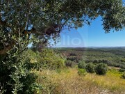 Terreno Urbano - Al�m da Ribeira, Tomar, Santar�m - Miniatura: 1/9