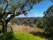 Terreno Urbano - Al�m da Ribeira, Tomar, Santar�m - Miniatura: 2/9