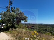 Terreno Urbano - Al�m da Ribeira, Tomar, Santar�m - Miniatura: 5/9